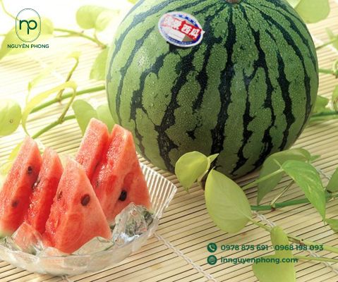 mẫu tem dán dưa hấu ấn tượng
